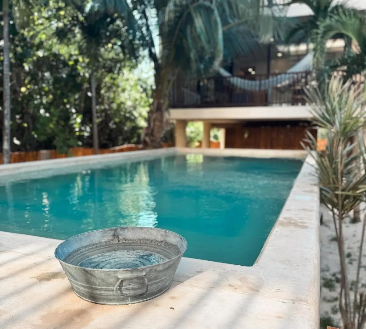 Garden 2Br Apt Steps From The Beach With Pool View Isla Holbox Διαμέρισμα